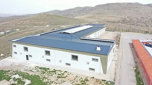Kayseri'de yeni hayvan barınağının yapılacağı yer belli oldu!