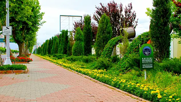 Kayseri'de yeşil alanlar için 40 kalem bakın ne alınacak