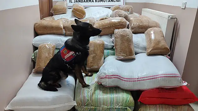 Kayseri'de yolcu otobüslerinde kaçakçılık!
