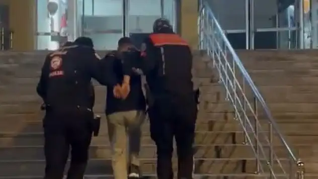Kayseri'de Yunuslar şüphelendi! Kimliği sorgulanınca ortaya çıktı