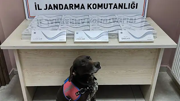 Kayseri'de yüzlerce paket ele geçirildi