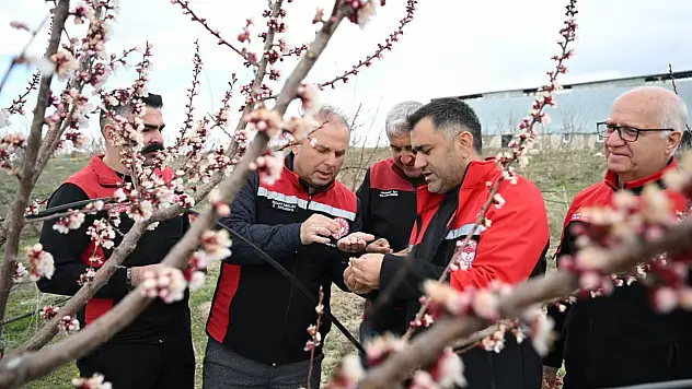 Kayseri'de zirai don mesaisi. İşte son durum…