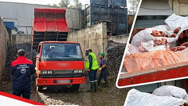 Kayseri'deki at-eşek eti şokunun ardından şimdi de domuz eti!
