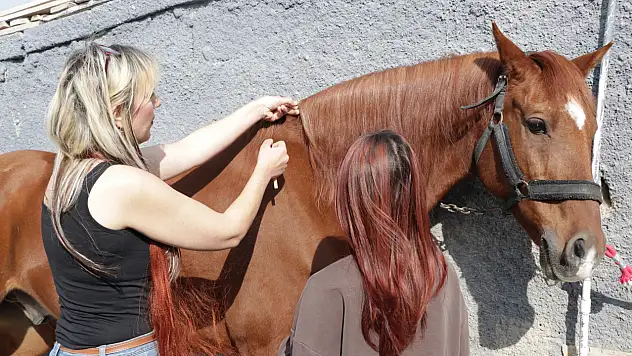 Kayseri'deki atlara kadın kuaförünün eli değdi