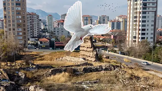 Kayseri'deki Basiliada merak konusu oldu! Mahalleye talih kuşu mu kondu?