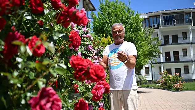 Kayseri'deki bu bahçe herkesin ilgi odağı oldu