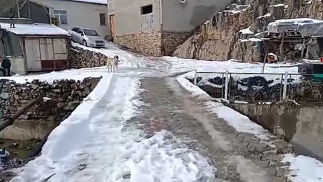 Kayseri'deki bu köprü tehlike saçıyor