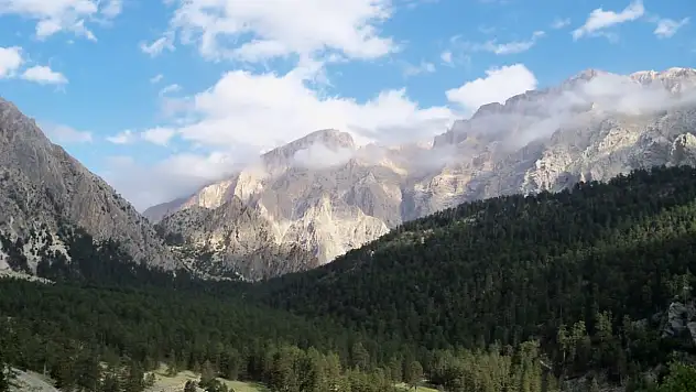 Biliyor muydunuz? Kayseri'deki bu ormanda helikopter pisti var!