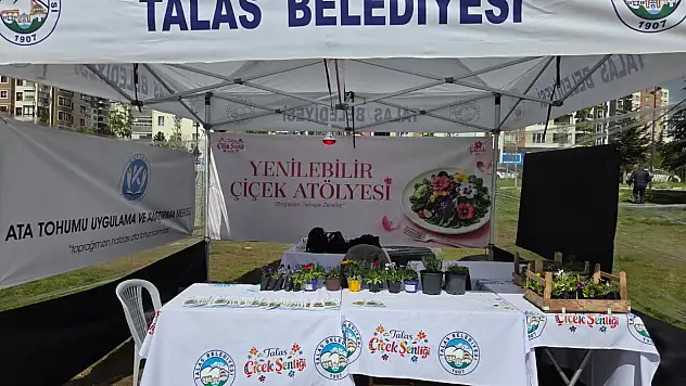 Kayseri'deki festivalde dikkatleri o stant çekti! Bakan bir daha baktı