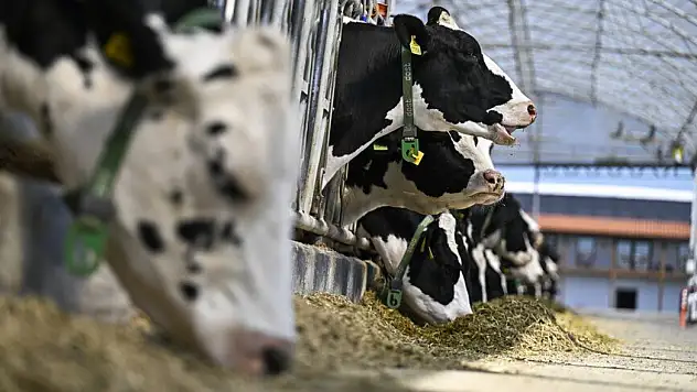 Kayseri'deki işletmelerde yeni dönem başlıyor