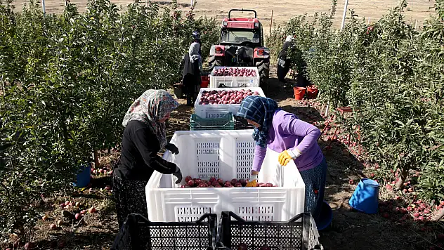 Kayseri'deki o sektörü kadınlar ele geçirdi