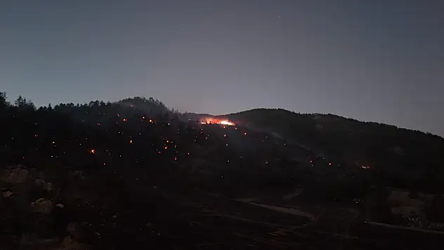 Kayseri'deki orman yangını böyle görüntülendi