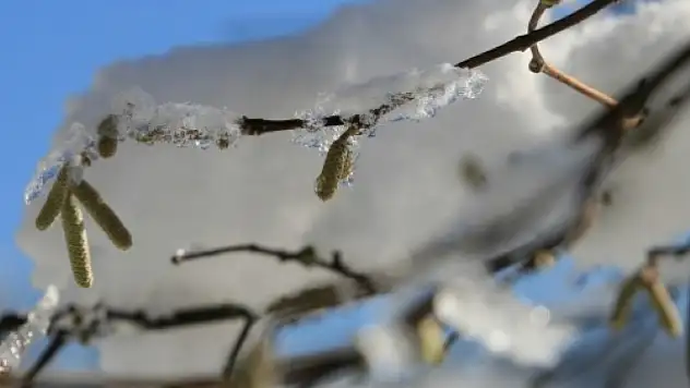 Kayseri dikkat! Meteoroloji çiftçileri de uyardı