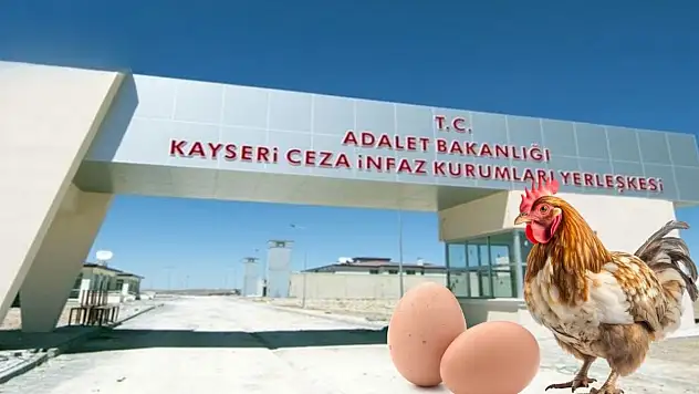 Kayseri Kapalı Ceza İnfaz Kurumu 25 ton alacak