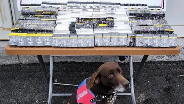 Kayseri–Malatya yolunda bir tırda bakın neler ele geçirildi?