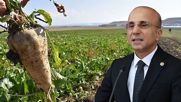 Kayseri Milletvekili Genç: Pancar tohumu fiyatı bir yılda iki katına çıktı