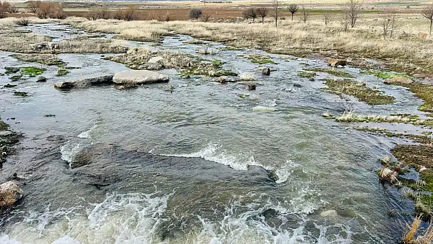 Tomarza'ya bahar geldi