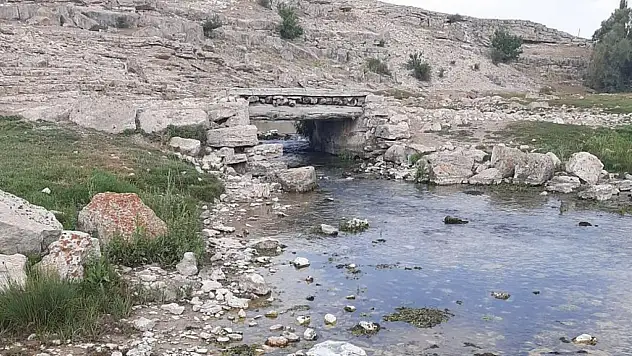 Kayseri'nin can damarı kuruyor! Göz göre göre yok oluyor