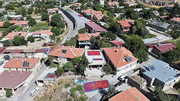 Kayseri'nin damlarında kuruyan lezzet