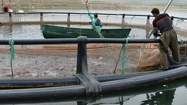 Kayseri'nin denizi yok ama balık ihracatı çok