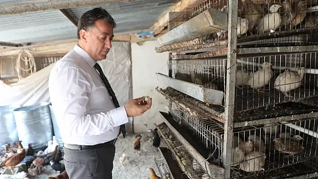 Kayseri'nin Develi ilçesinde dikkat çeken çiftlik!