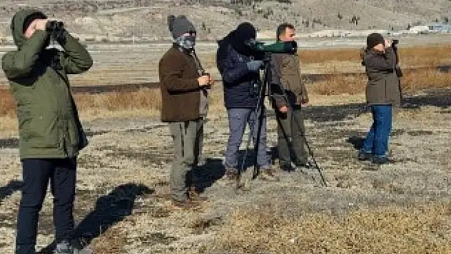 Kayseri'nin o bölgesinde sayım yapıldı! 24 bin 974 adet var...