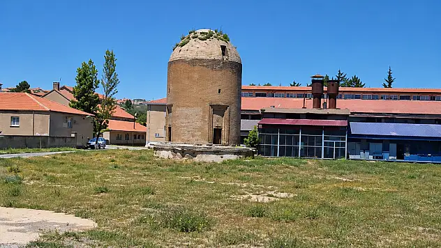 Kayseri'nin tarihi mirası otlar arasında kaldı