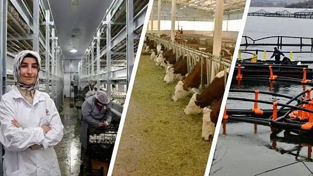 Kayseri'nin yıllardır beklediği projede müjdeli gelişme!
