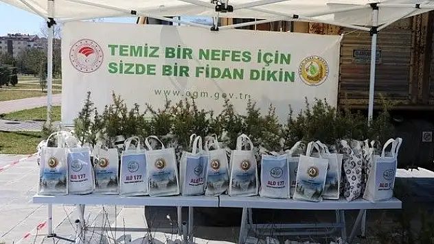 Kayseri Orman Bölge Müdürlüğü 10 Bin Fidan Dağıttı