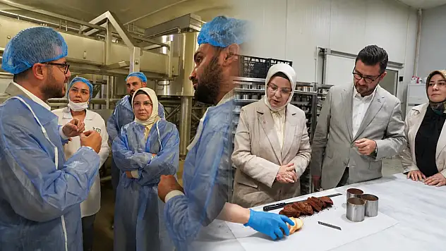 Kayseri OSB'de sanayicilerin talepleri masaya yatırıldı