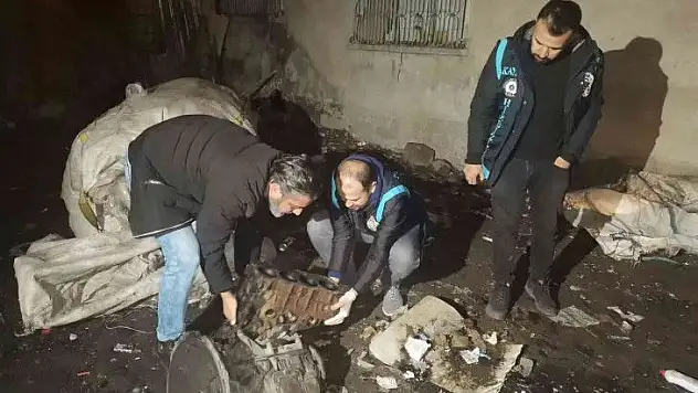 Polis 8 olayı aydınlattı!