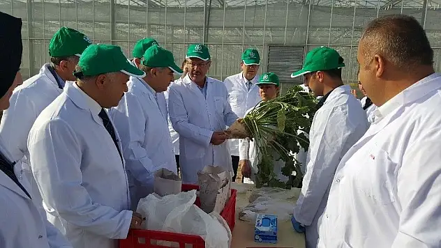 Kayseri Şeker Fabrikasına Avrupa Komisyonu desteği...