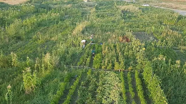Kayseri Şeker'den çalışanlarına hobi bahçesi
