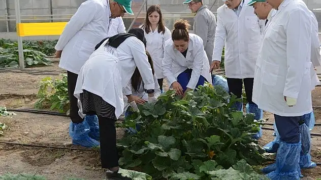 Kayseri Şeker'e 'Tarımsal Araştırma Kuruluşu' Belgesi