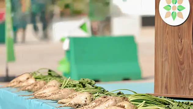 Kayseri Şeker pancar alım fiyatı ile ilgili beklenen açıklamayı yaptı!