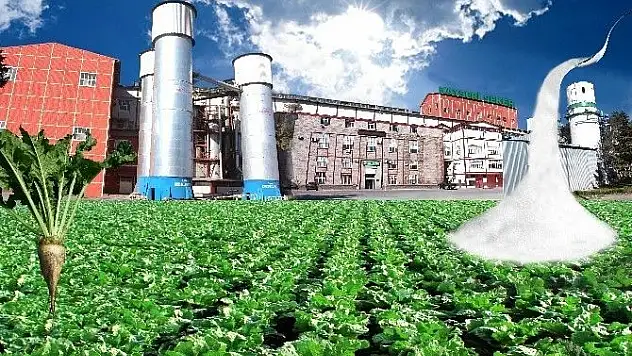 Kayseri Şeker Türkiye devleri arasında