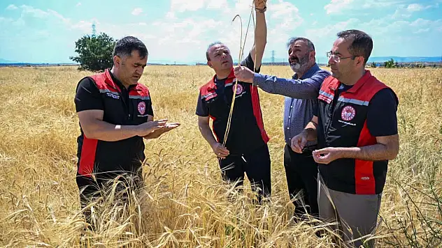 Kayseri Tarım ve Orman İl Müdürlüğü formülü verdi!