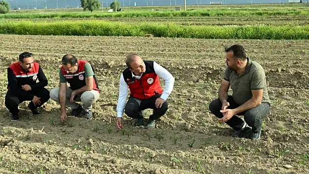 Kayseri Türkiye'de ilk 6'ya yerleşti... Müdür, çarpıcı değişimi rakamlar ile açıkladı
