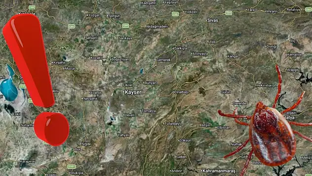 Kayseri ve çevresi dikkat! Kene 9 can aldı