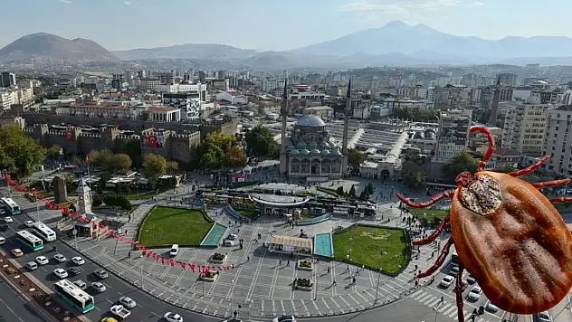 Kayseri ve çevresinde kene alarmı! En riskli alanlar belli oldu