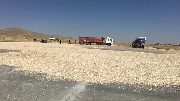 Kayseri'ye 5 yeni saha