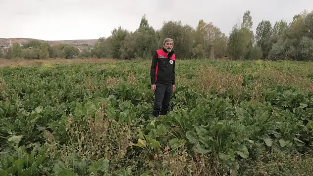 Kayseri'ye de gönderiliyor: Hedef 1 milyon tondu