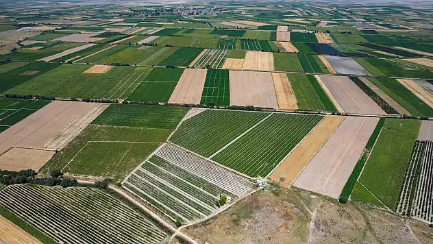 Kayseri'ye yapılan yatırımlar tek tek açıklandı! Bakın neler yapılmış?