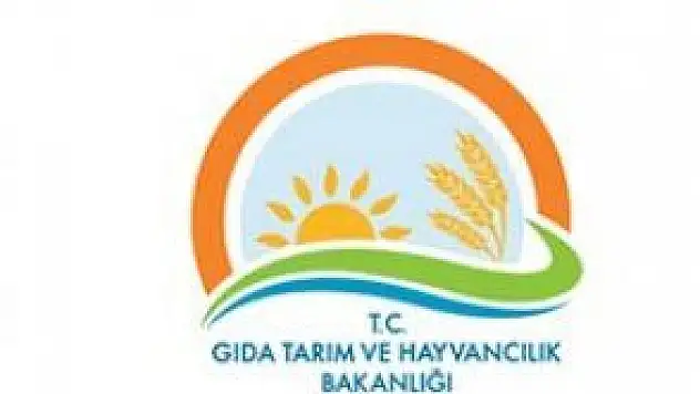 KAYSERİ YİNE AYIPLI LİSTEDE