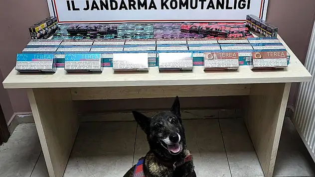 Kayseri yolunda operasyon: 2 tırda yüzlerce paket ele geçirildi
