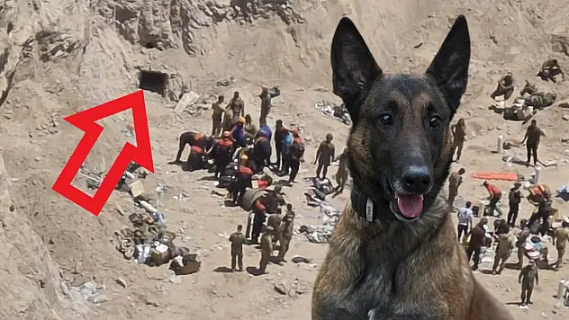 Kayserili askerin de şehit olduğu olayla ilgili dikkat çeken 'köpek' ayrıntısı