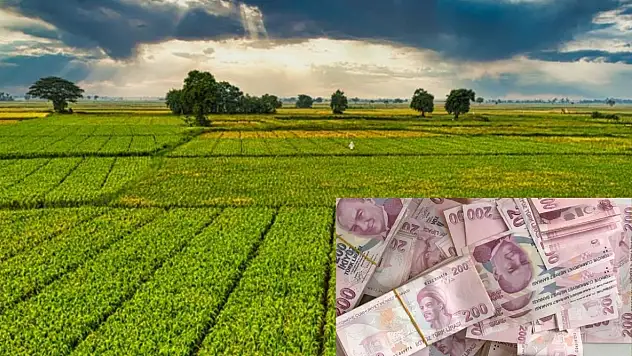 Kayserili çiftçiye nefes aldıracak destek açıklandı