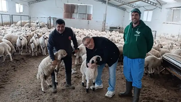 Kayserili iş adamının yatırımı ilk meyvesini verdi!