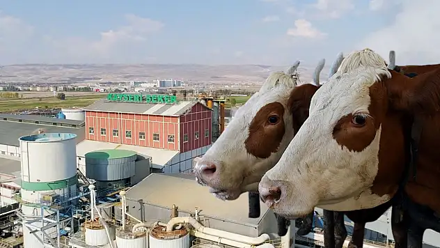 Kayserili şirketten yatırım iptali! O proje planlardan çıkarıldı