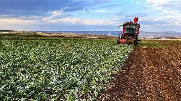 Kayserili üreticilerin dikkatine: 1 Temmuz'da başlıyor!
